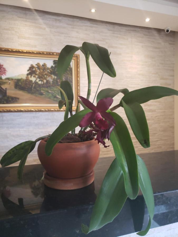 Proenca Hotel Баретос Екстериор снимка